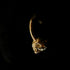 Skull Hoop Earring 14k gold